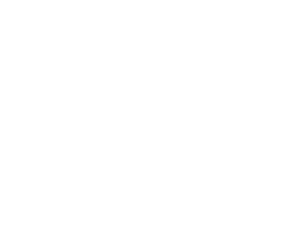 Kotzschmar Logo White